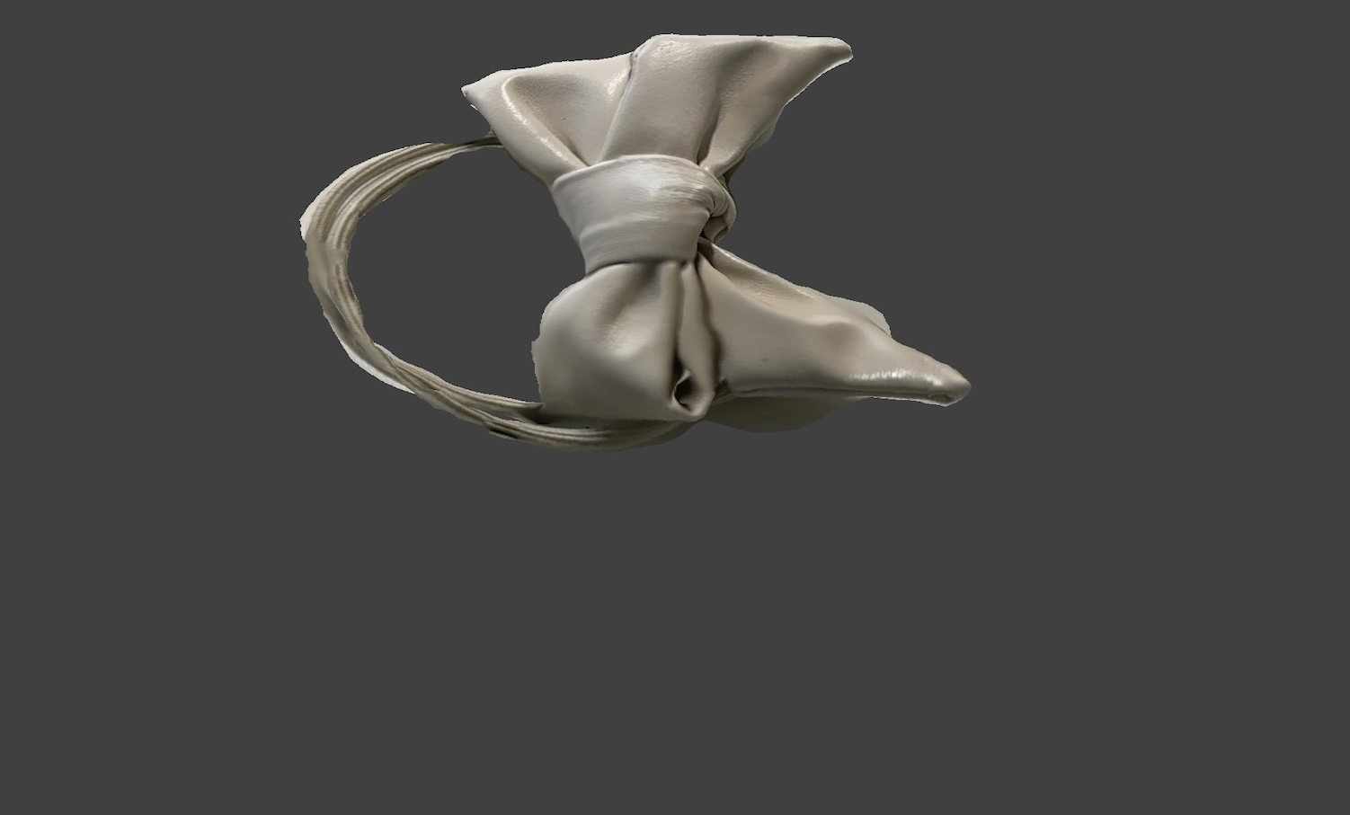 Top view of the hair tie. Some details on the band were missing, and the edges turned out blurry and unclear.